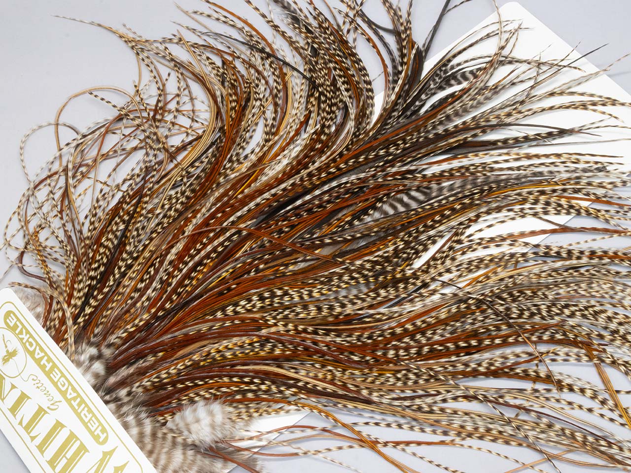 Whiting Heritage Hackle | ホワイティング ヘリテージ ハックル
