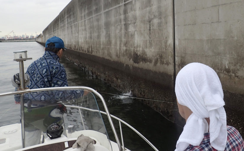 曇天に咲く水柱