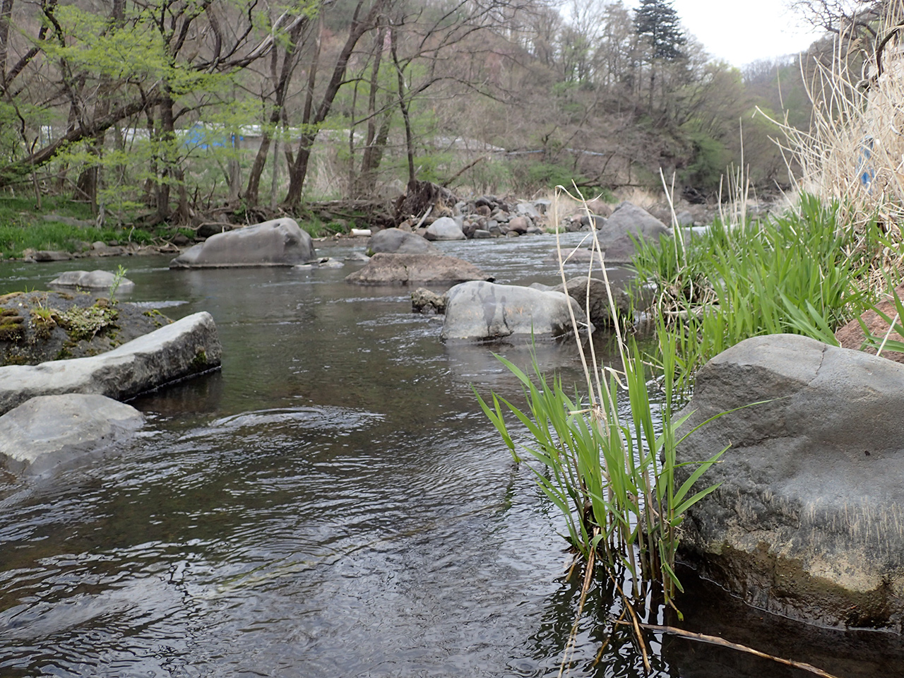 ゴールデンウィーク前に書けず ちょっと遅めの事後報告になった軽井沢 湯川 Hermit Blog