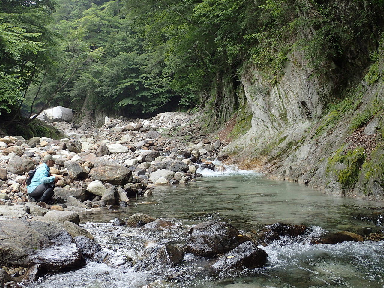 関東圏の渓流