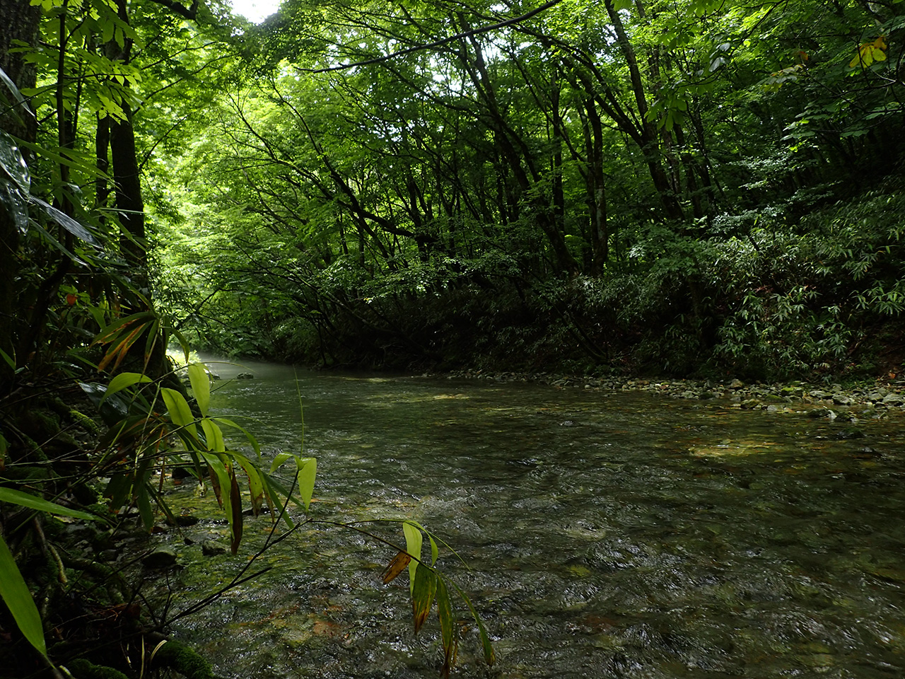 北関東の川