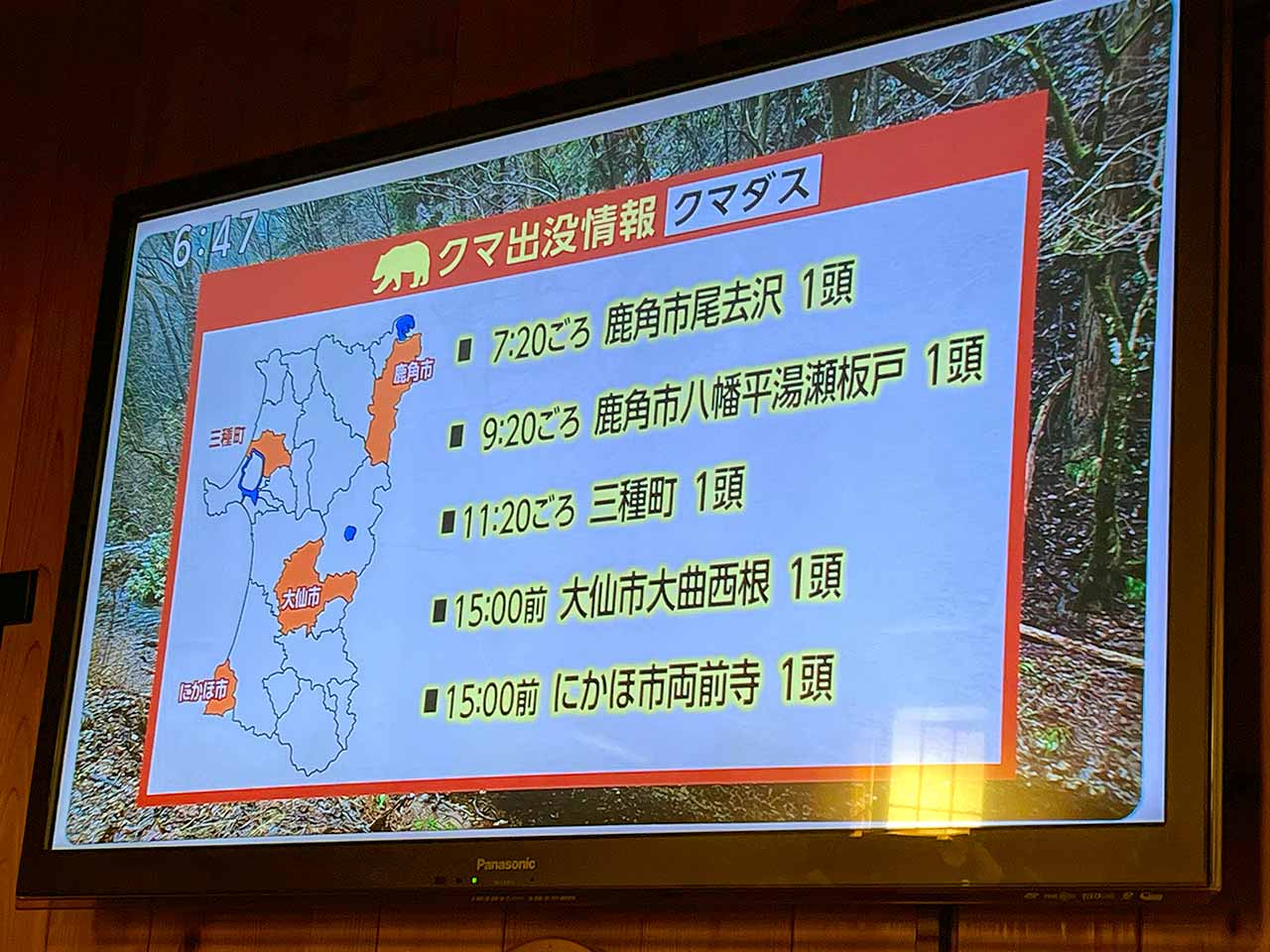 くまさん