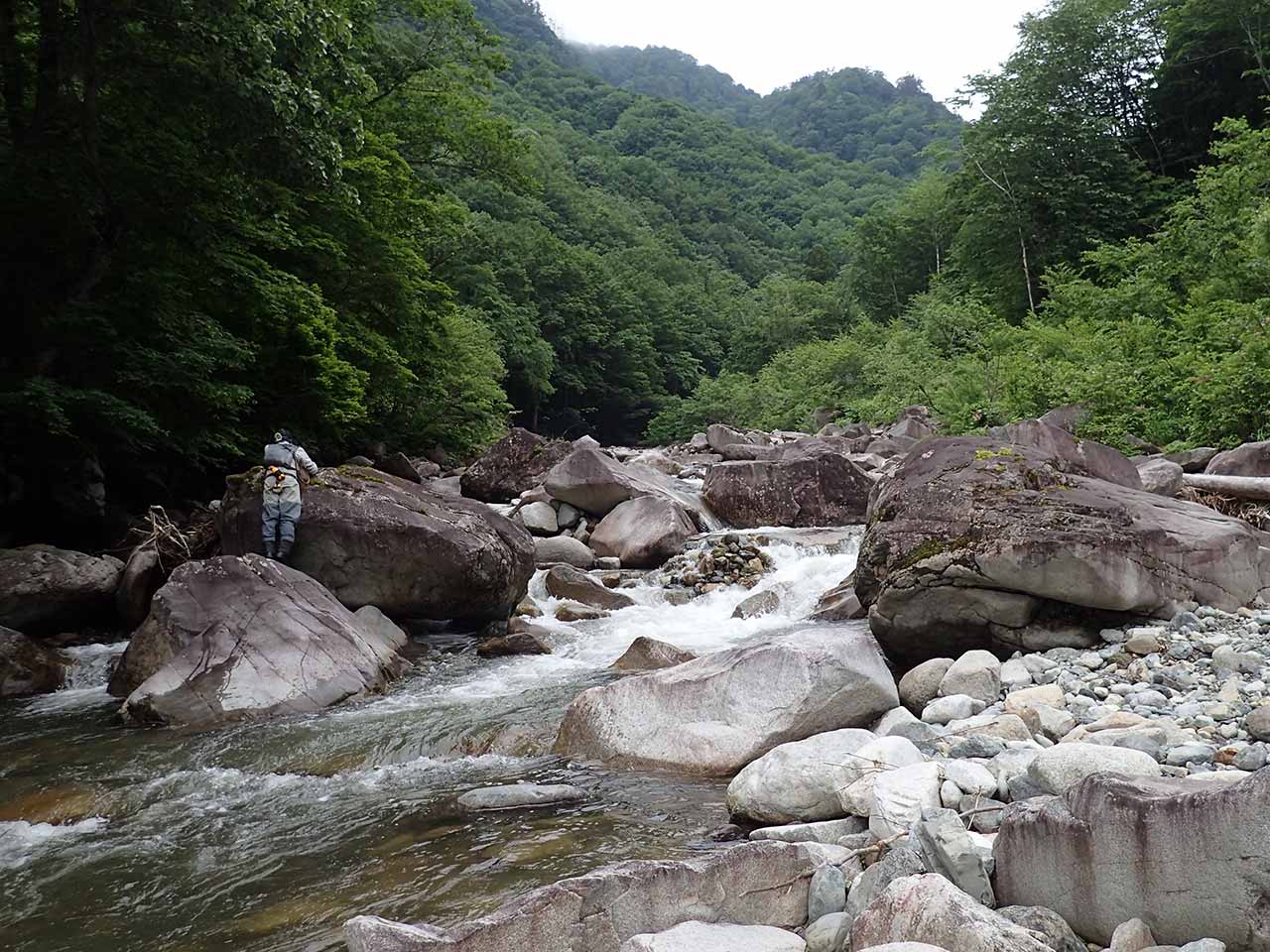 中越の釣り