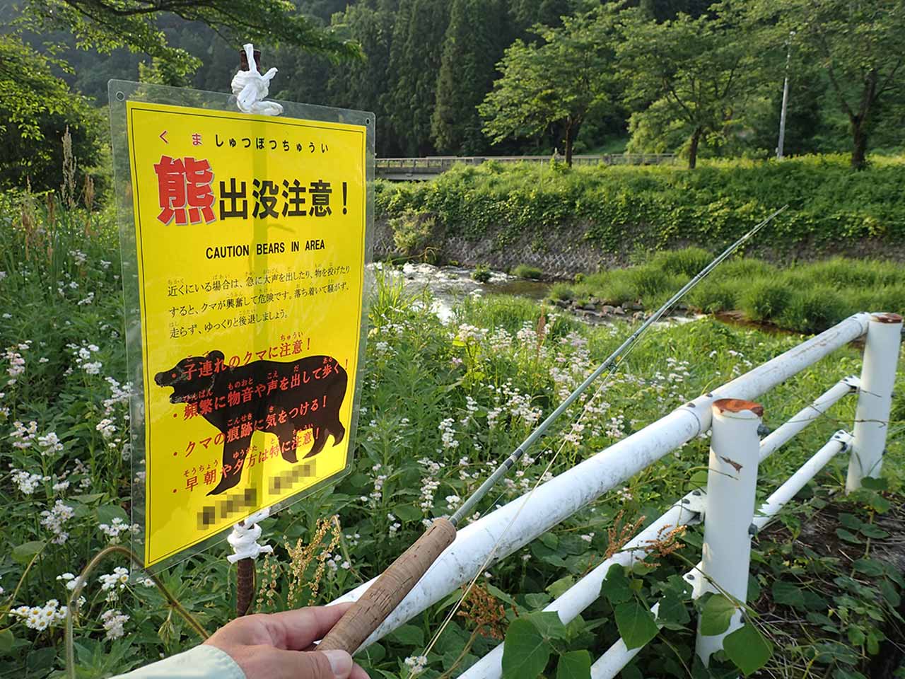 中越のヤマメ
