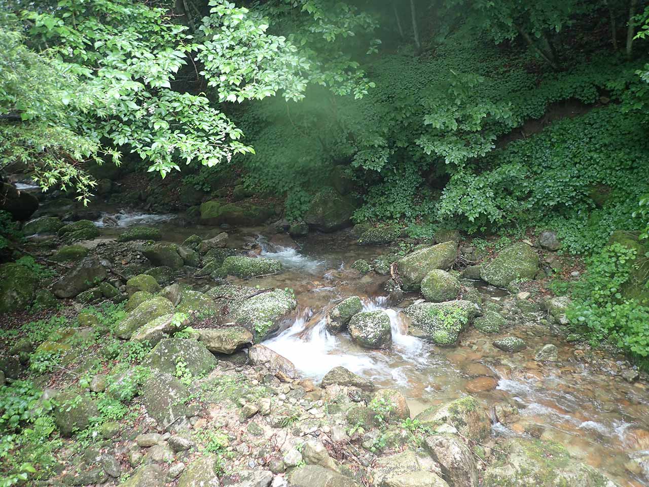 山岳渓流