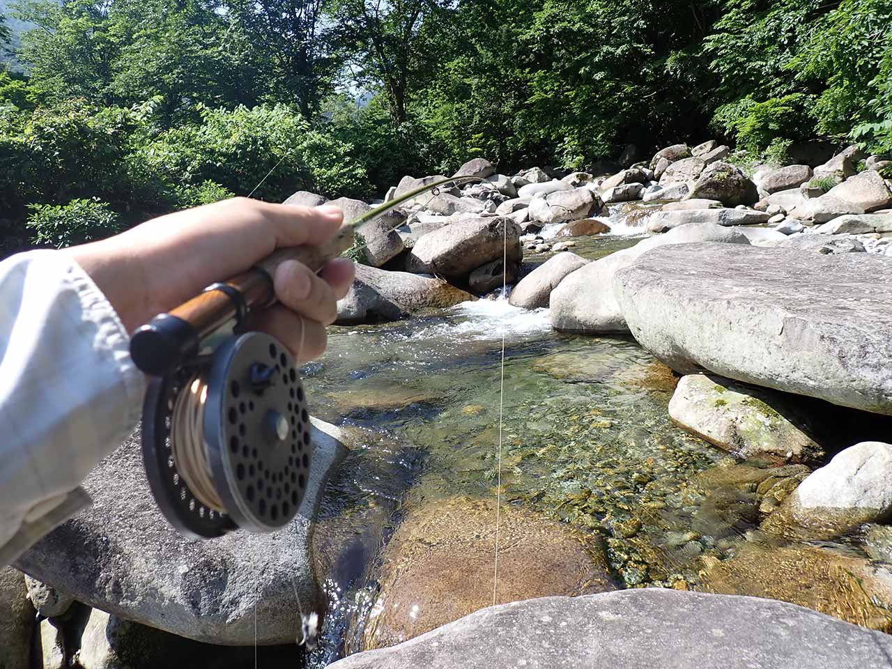 中越の渓流