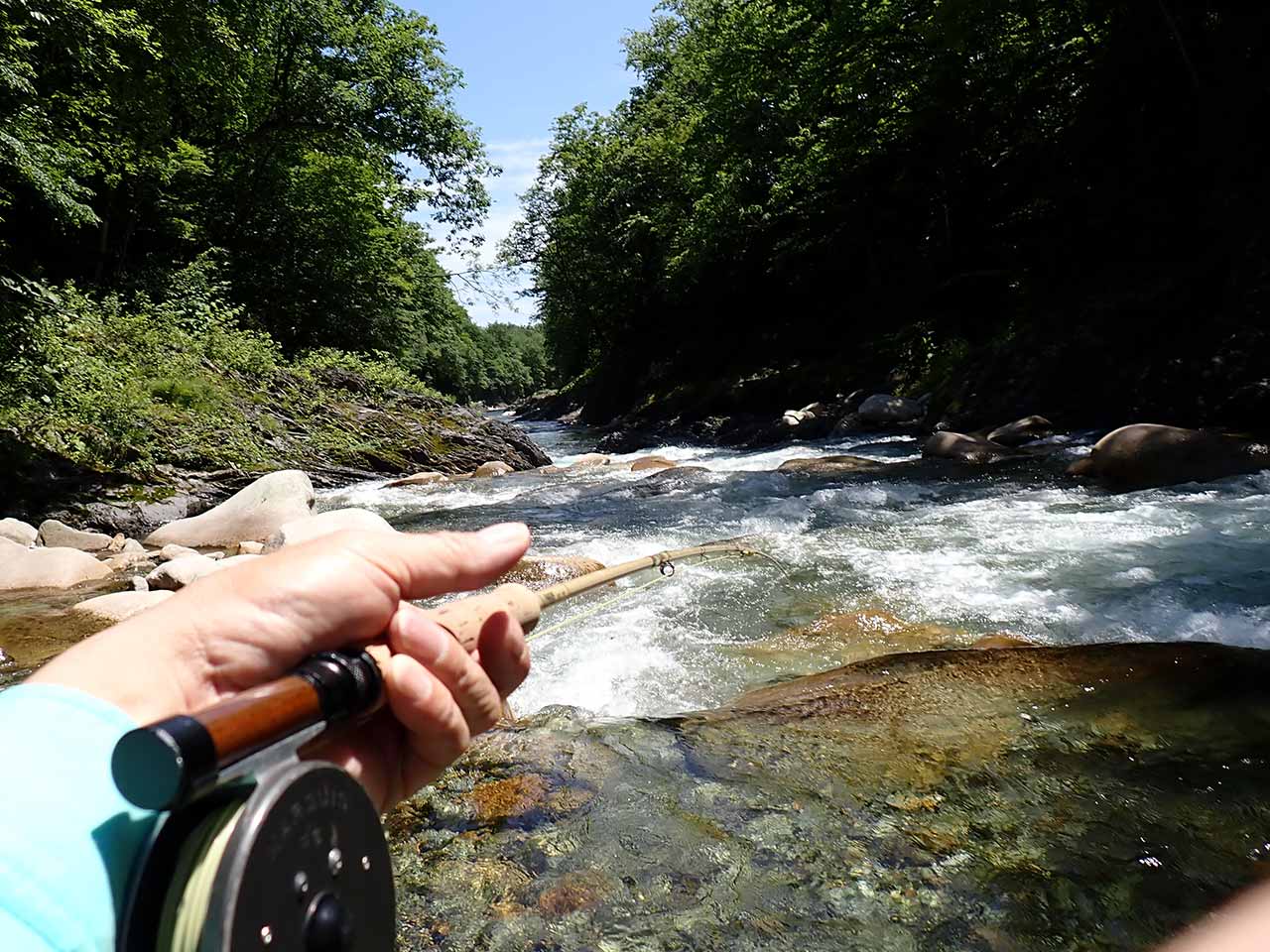 北海道の渓流