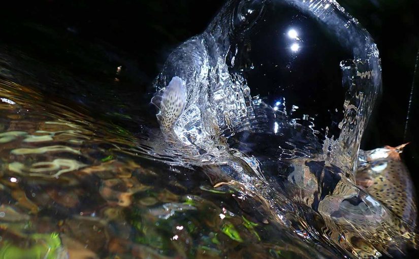 涼を求めて北海道へ行ったら東京よりも暑い釣行になった旅