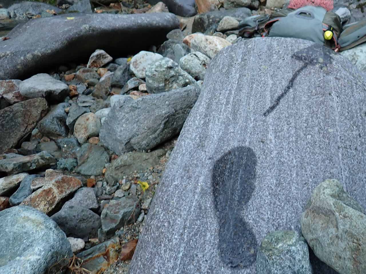源流の釣り。