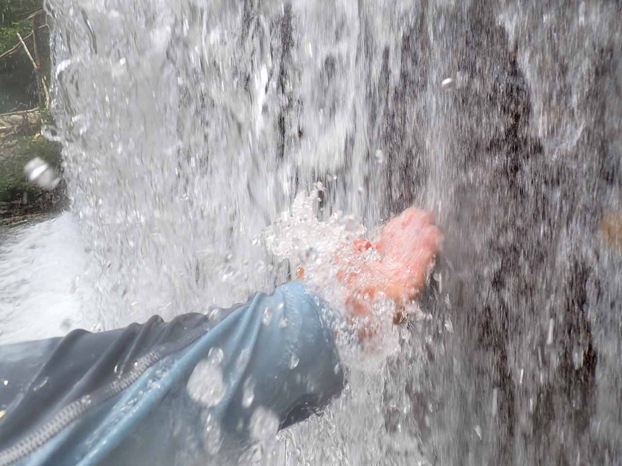 渓流の恵み