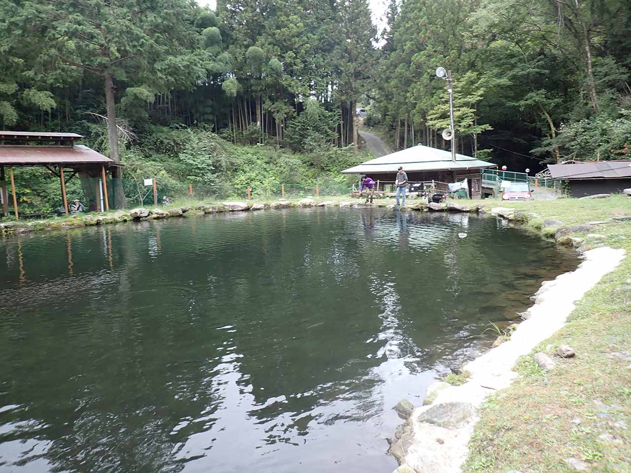 ならご池