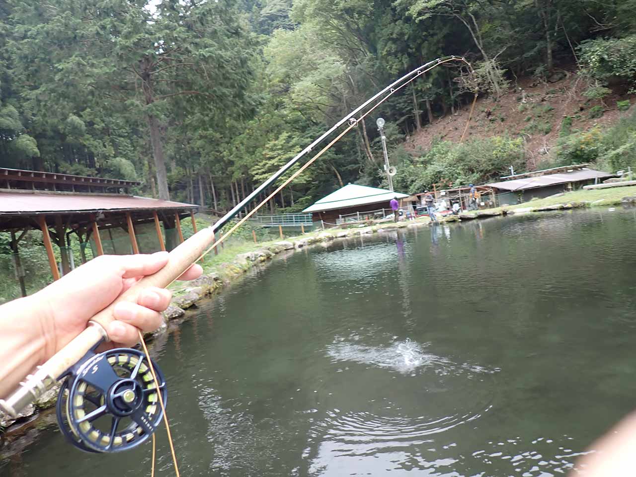 フライでヒット