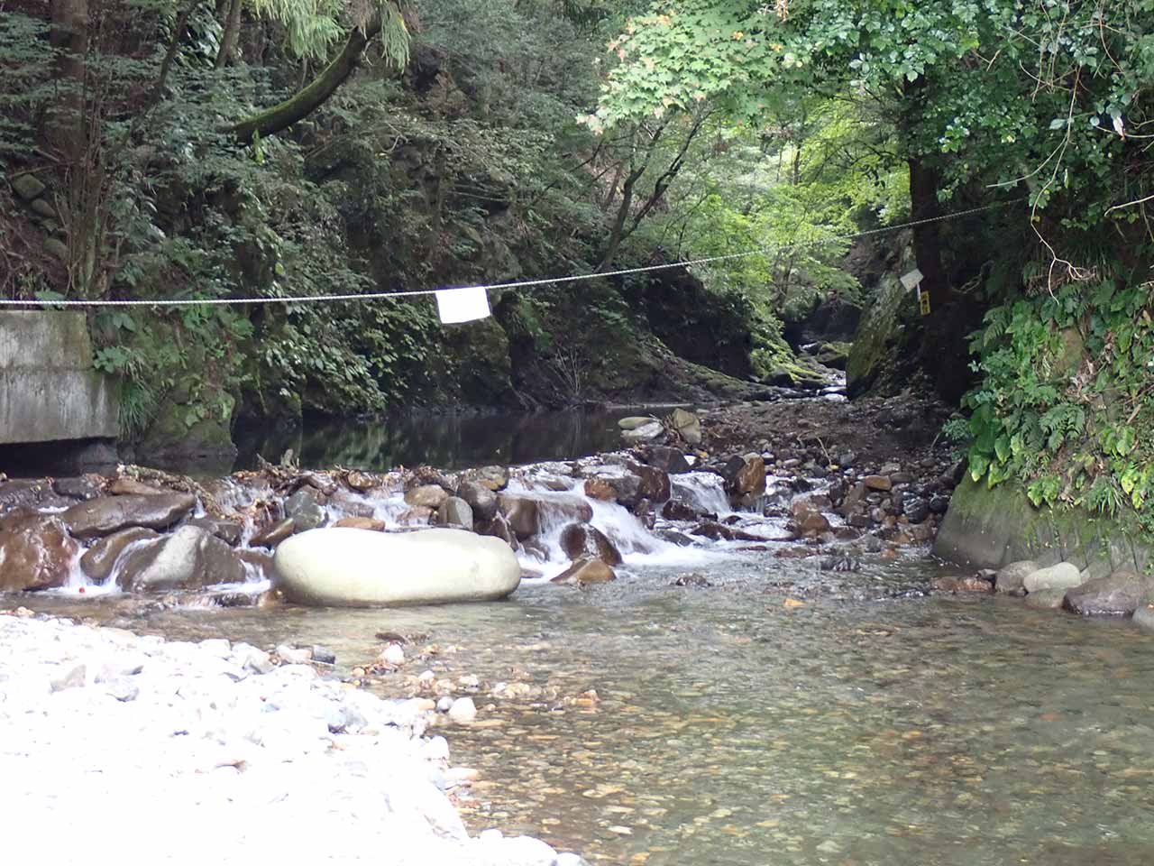 奈良子川の渓流
