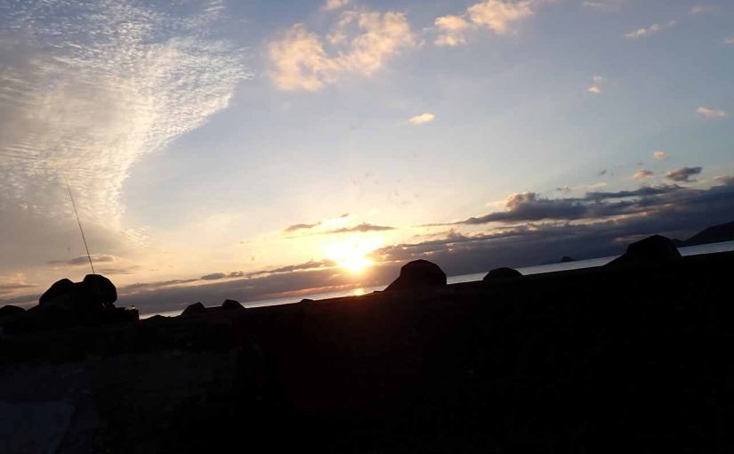 オデコはオデコを呼ぶ伊豆半島のフライフィッシング