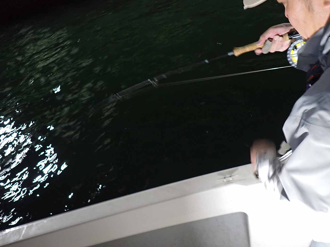 シーバスフィッシング