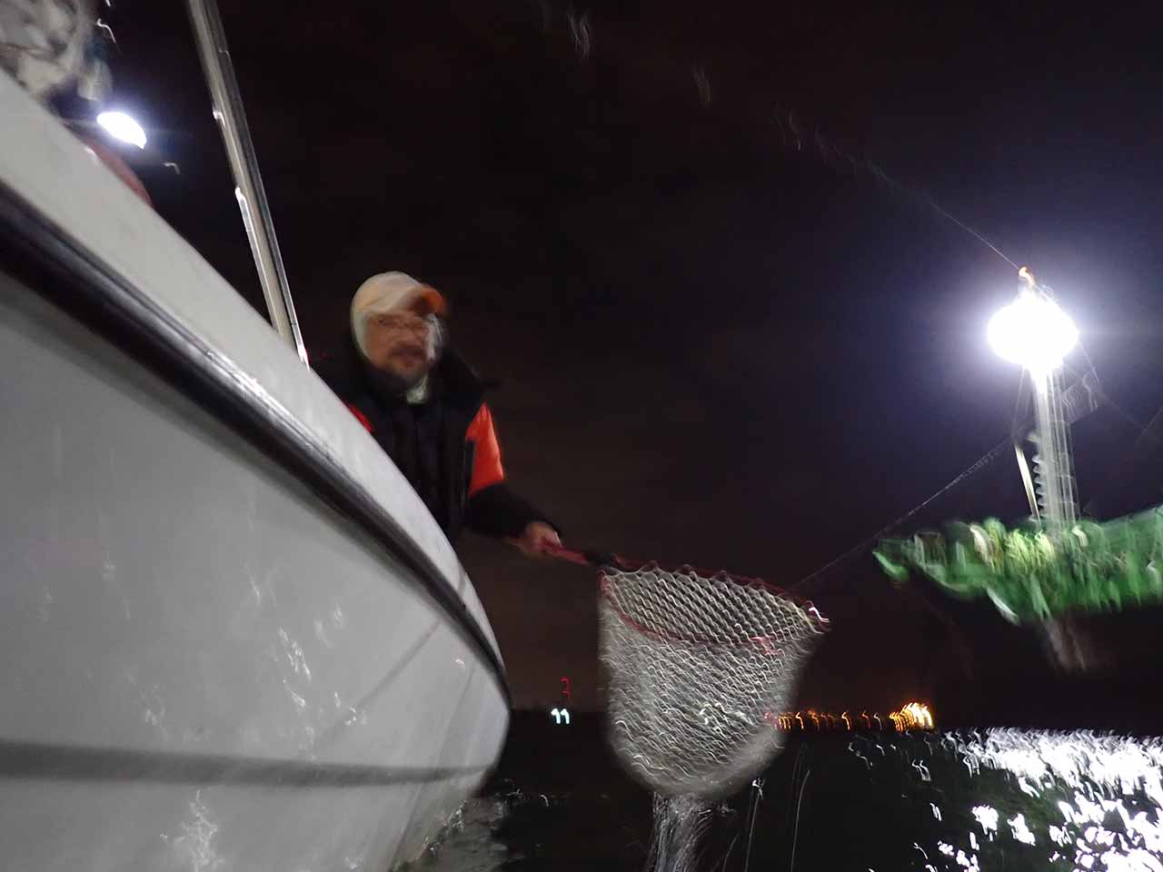 シーバスキャッチ