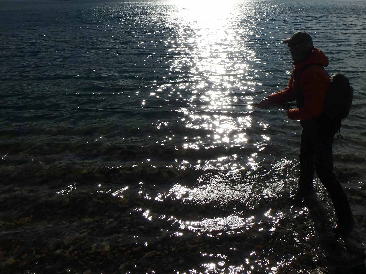 レインボーがヒット