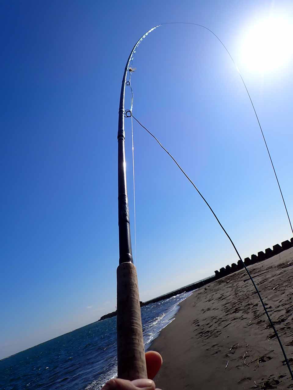 旗棒の様な竿
