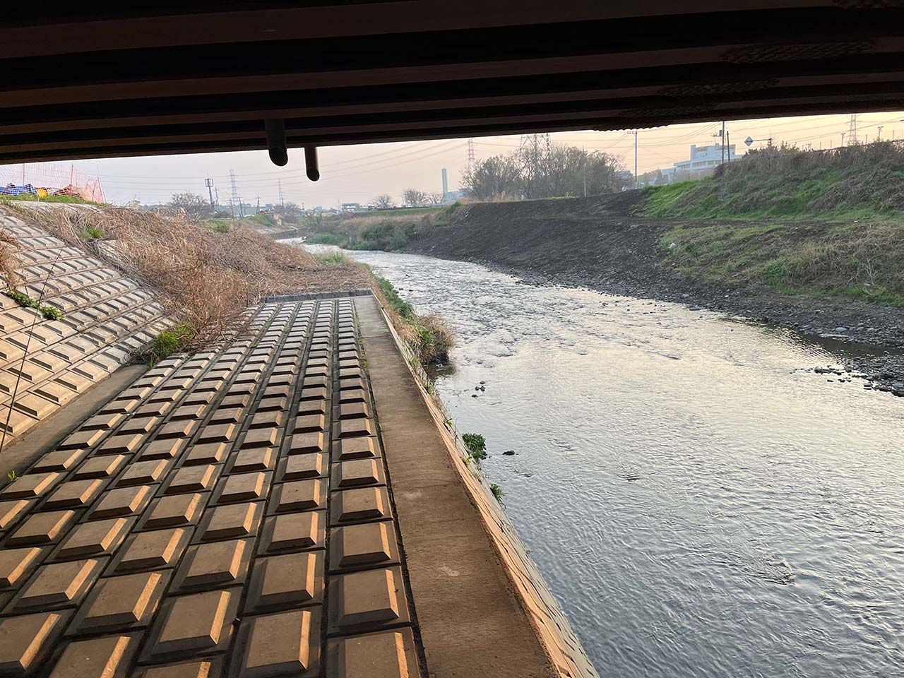 マルタウグイ探し