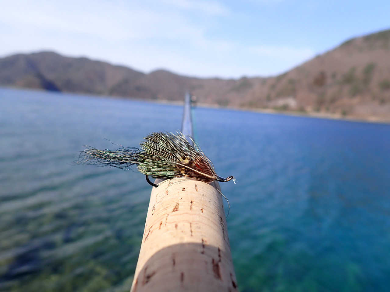 ブラウントラウトを求めて