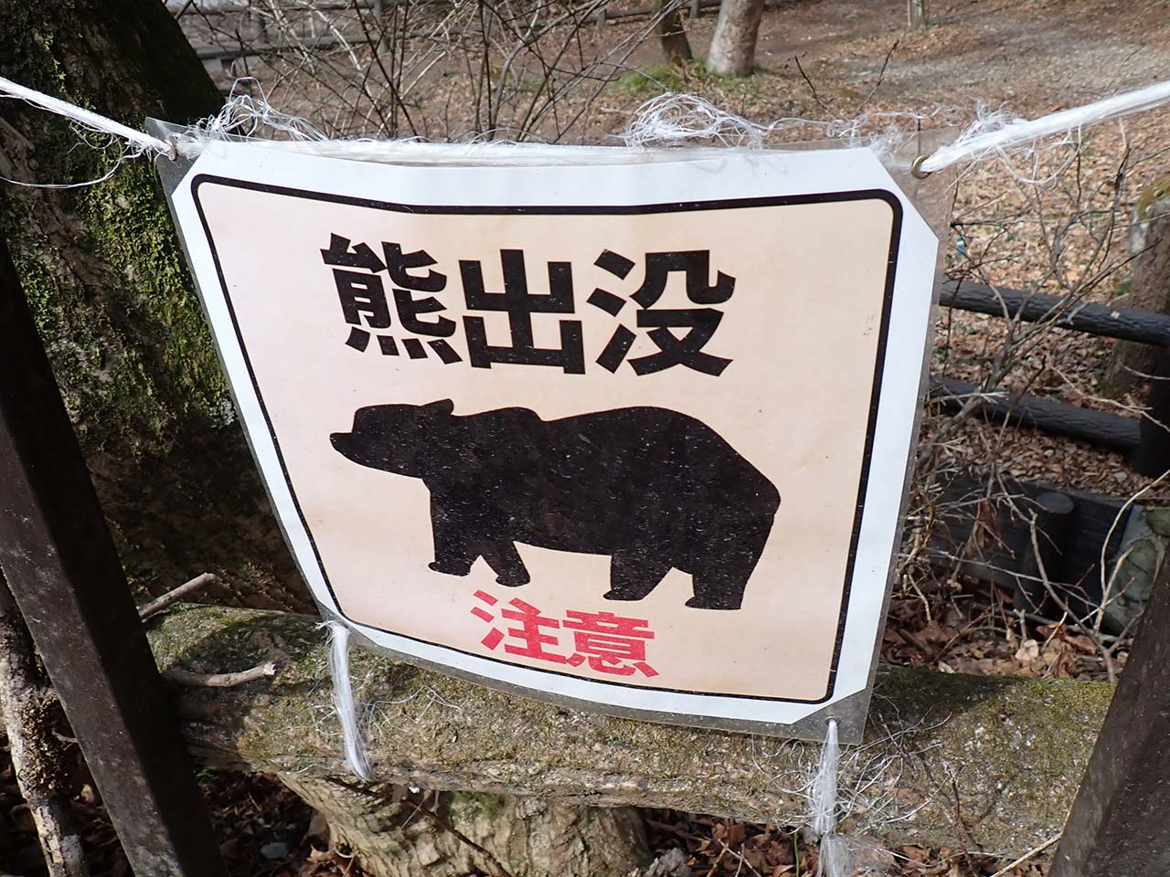 熊さんには会いたくない