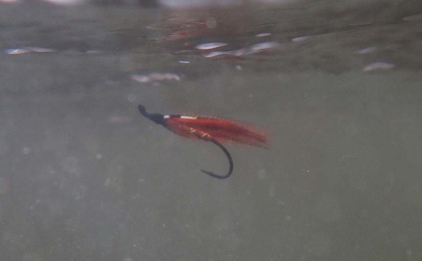 「人生残りの春を数えると、夢追い人にならざるをえない」