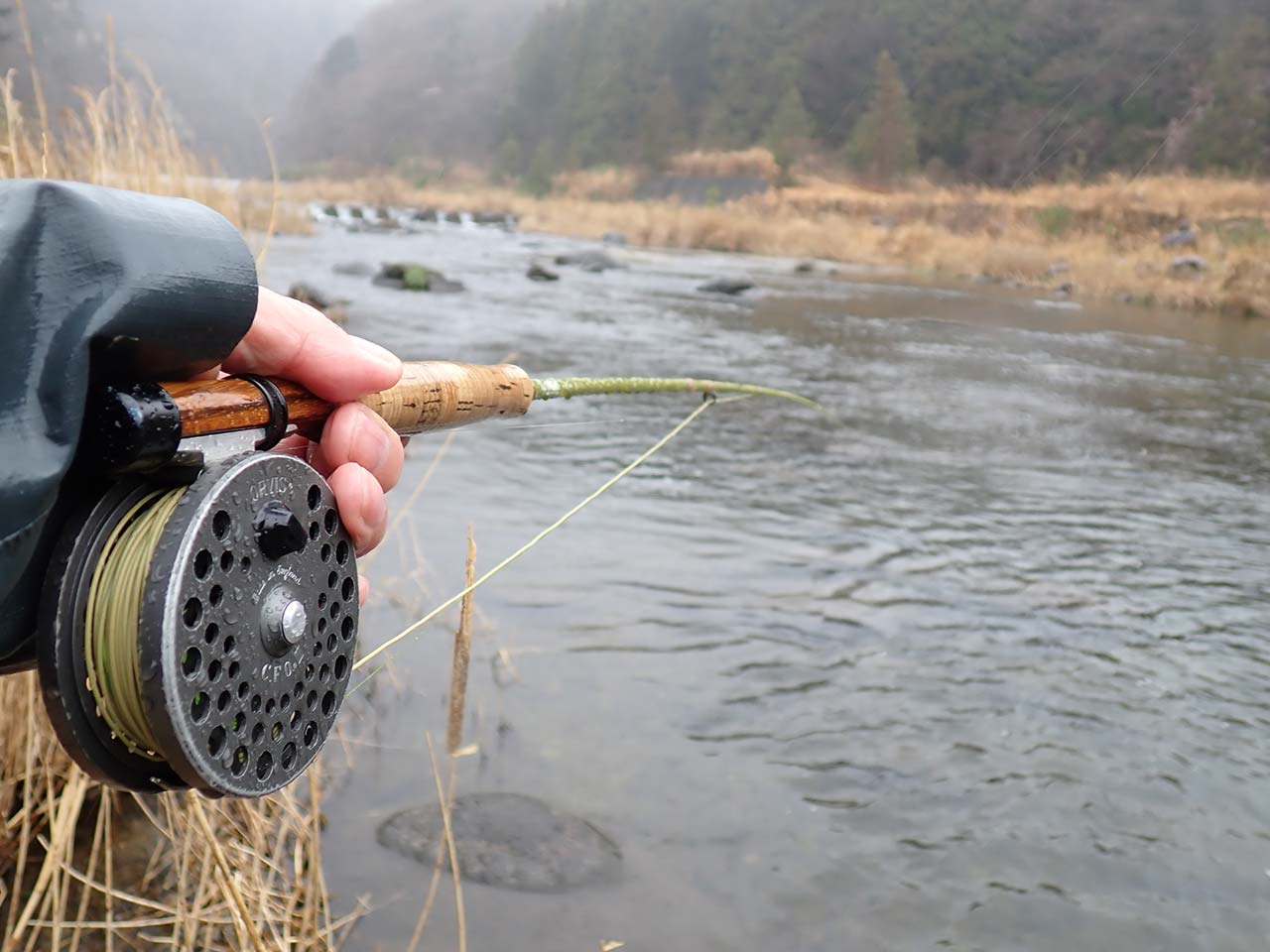 ライズなしの雨