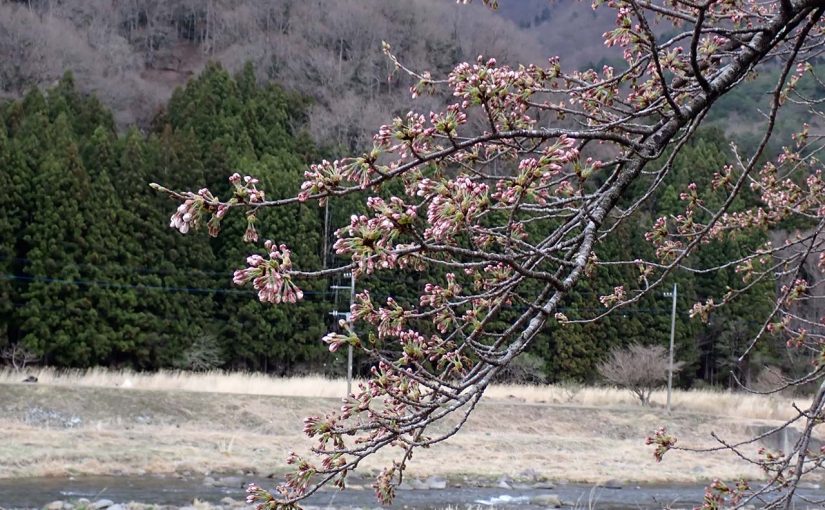 4月解禁の渓流へ出掛けてみた件（暴風雨に見舞われた北関東）