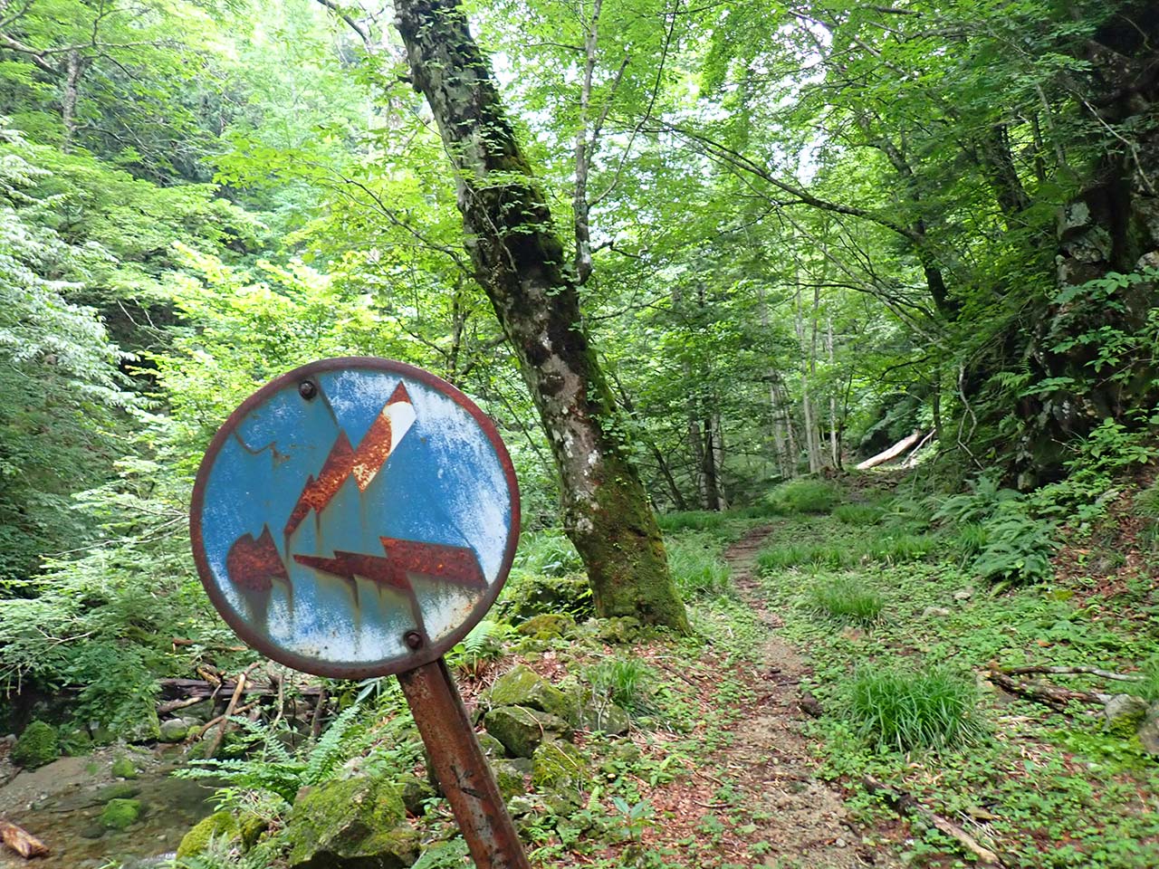 林道のある川