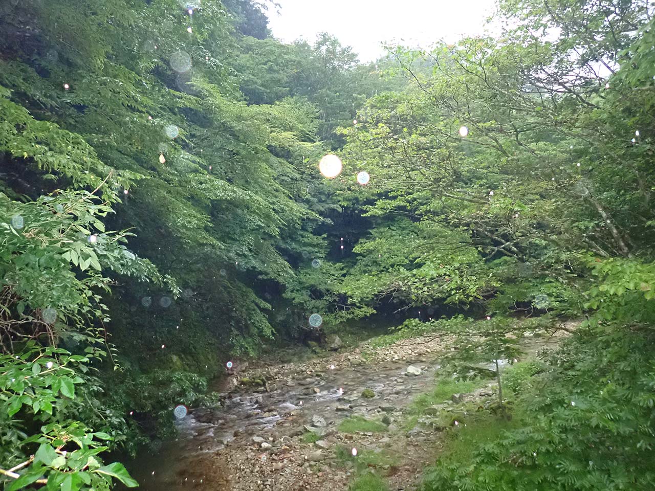 山奥