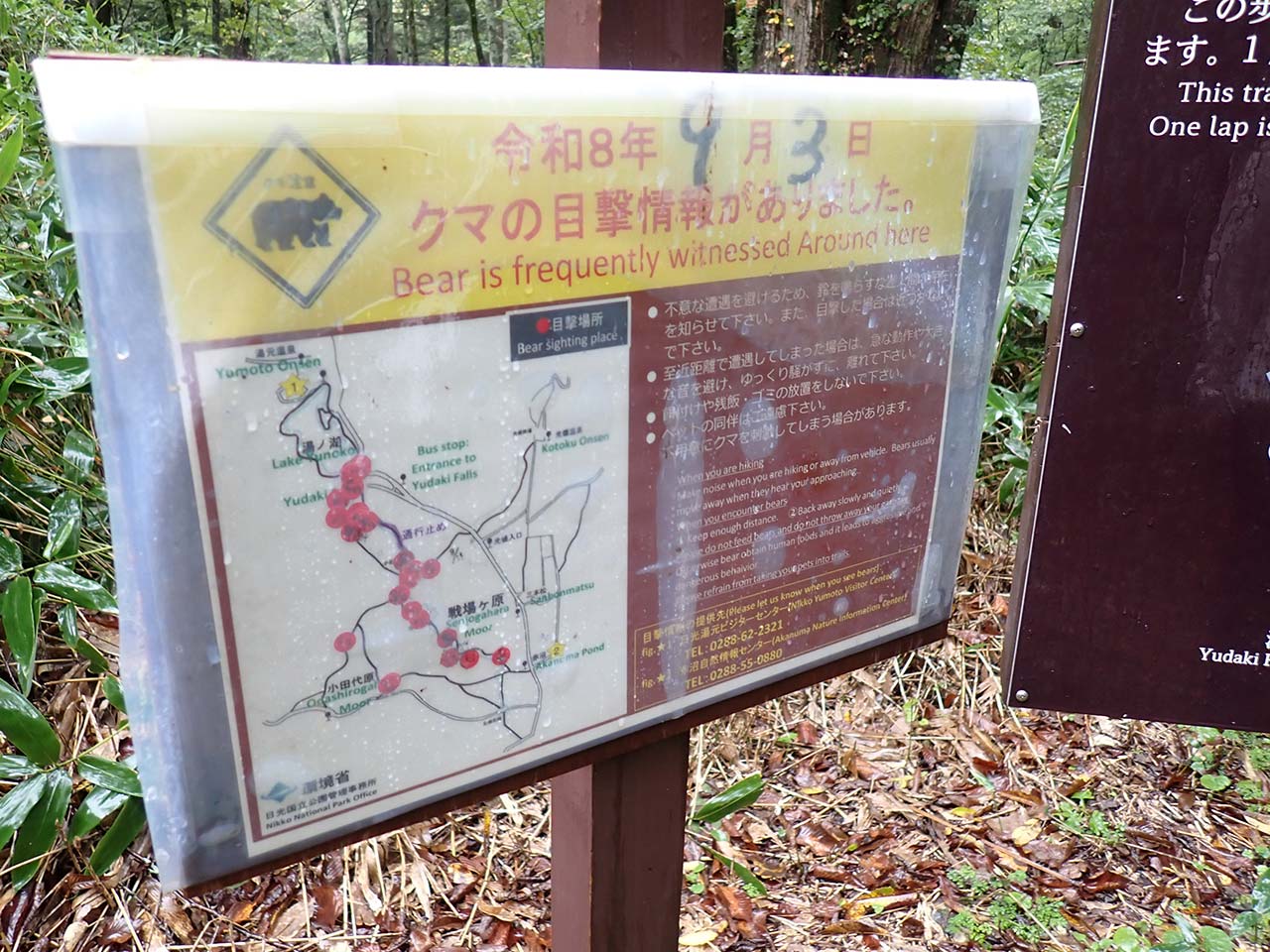 熊出没看板
